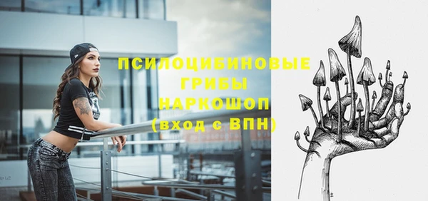 гидропоника Алексеевка