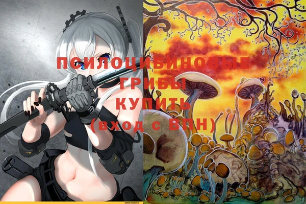 прущая мука Алзамай
