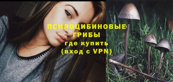 прущая мука Алзамай