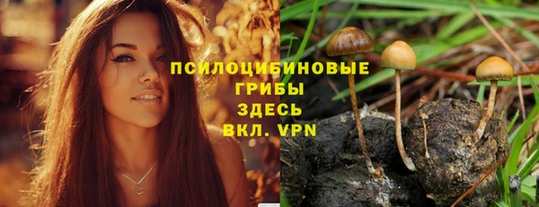 прущая мука Алзамай