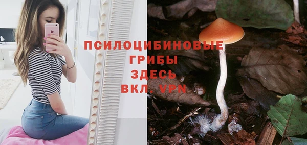 тгк Ростов