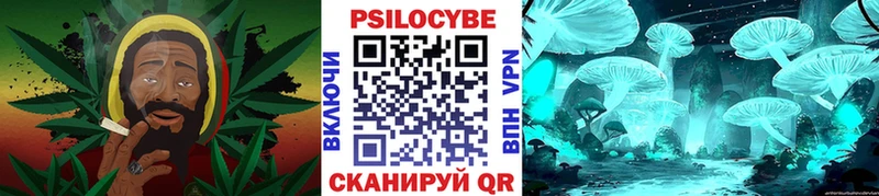 OMG ONION  Амурск  Псилоцибиновые грибы MAGIC MUSHROOMS 