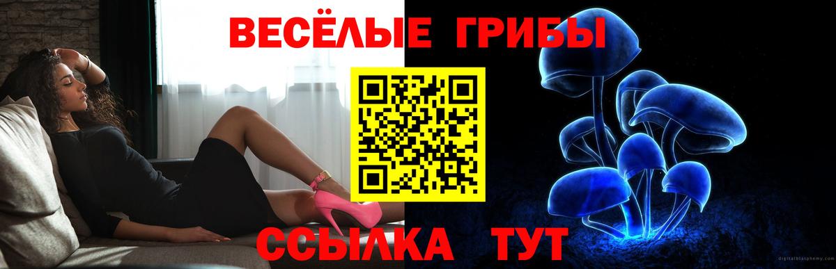 Псилоцибиновые грибы Cubensis  Псилоцибиновые грибы прущие грибы  Амурск  Вход с VPN 